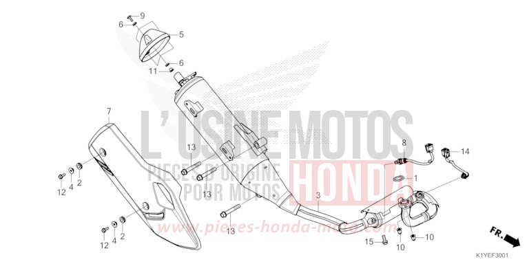 ABGAS-SCHALLDAEMPFER (WW125A/S) von PCX 125 PEARL SNOWFLAKE WHITE (NHD01) von 2025